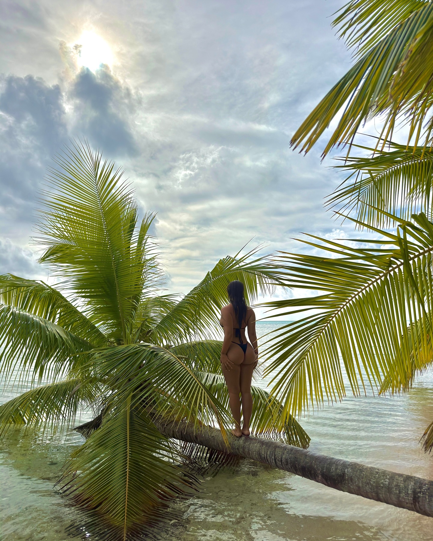 a day in paradise 🐚🌴