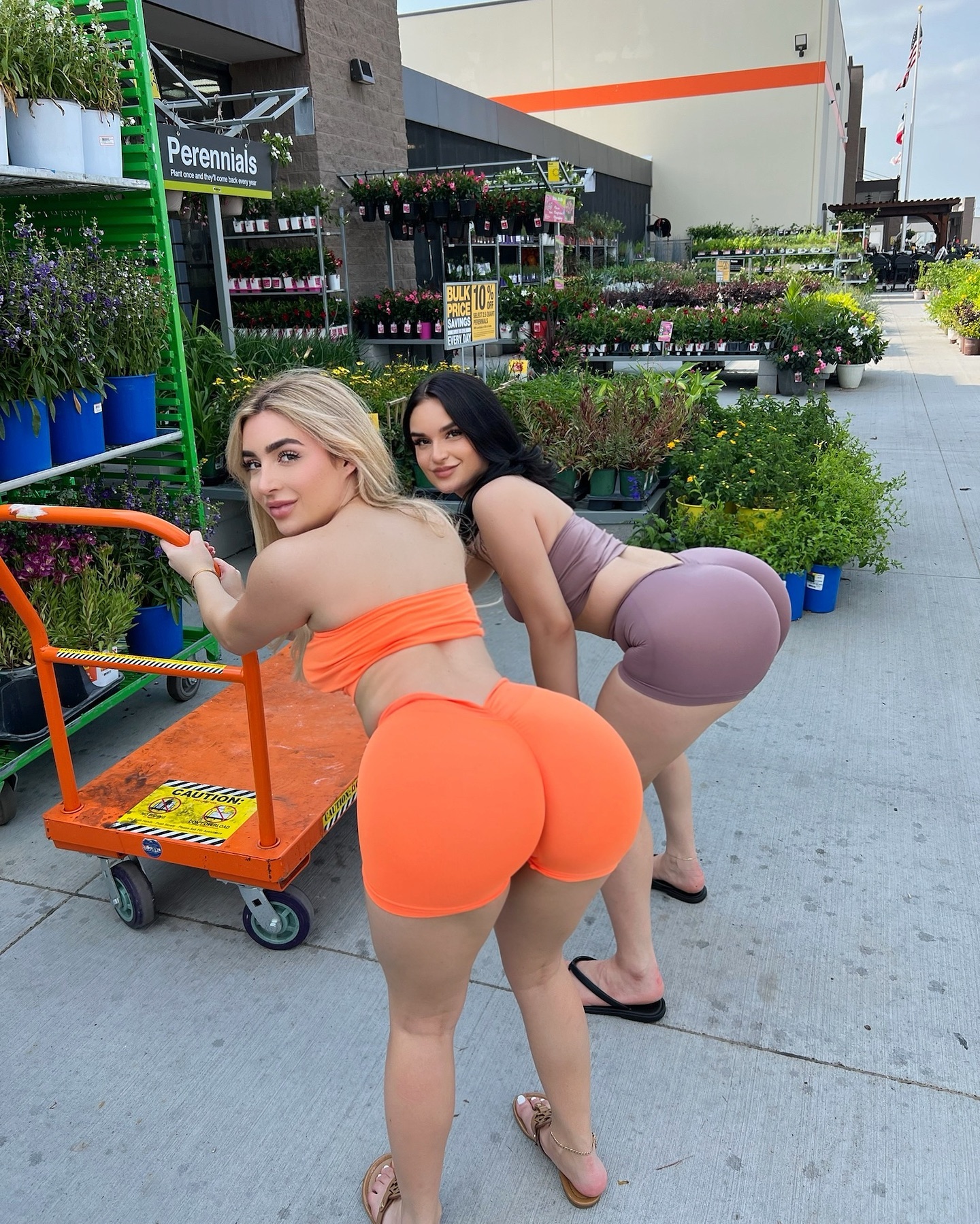 Need some pretty flowers? 😊