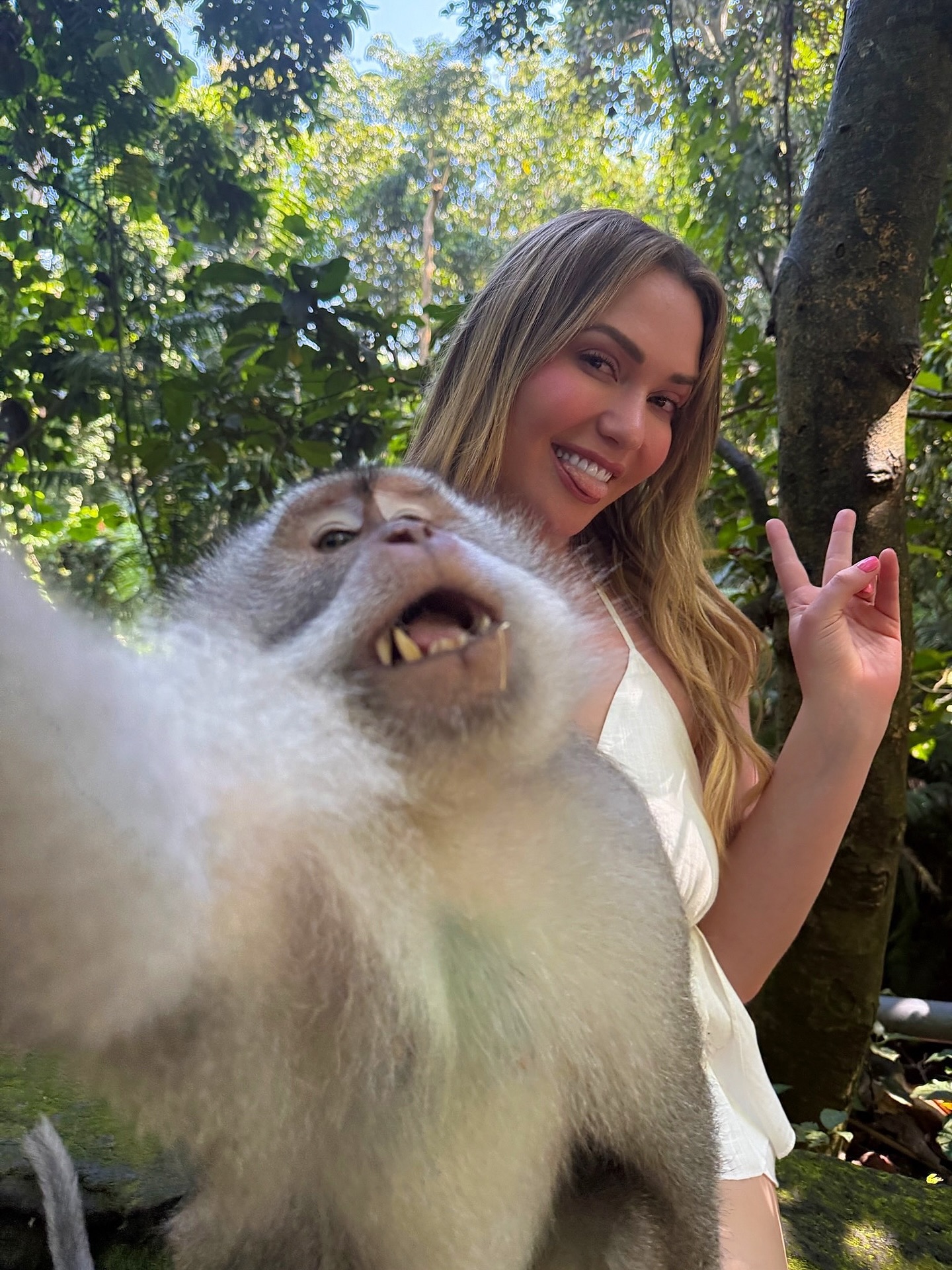 We both really like bananas 🍌 🐒